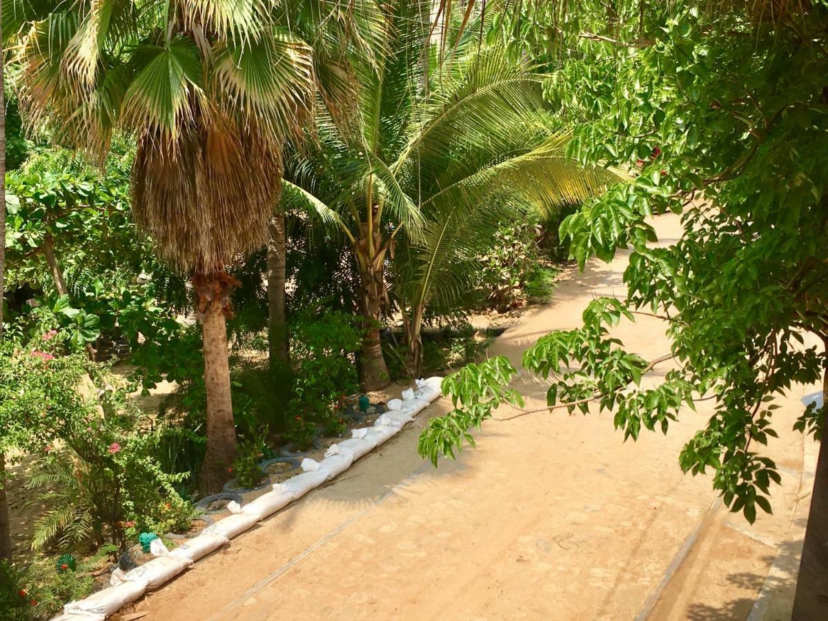 Hotel Rinconcito De Mazunte Santa María Tonameca Dış mekan fotoğraf